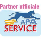 APA Service