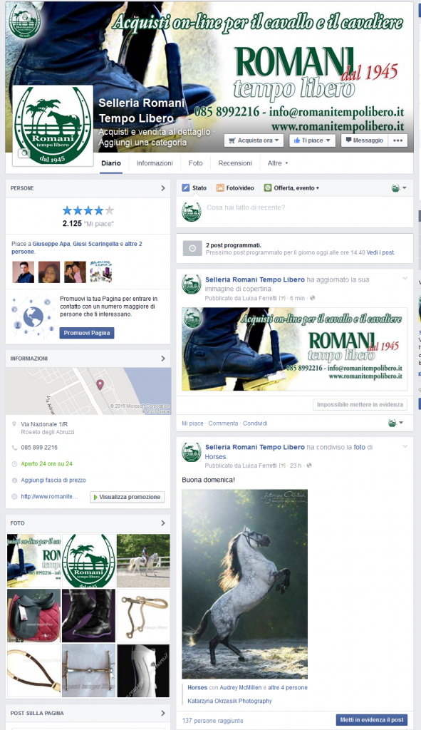 Gestione campagna Facebook Selleria Romani Tempo Libero