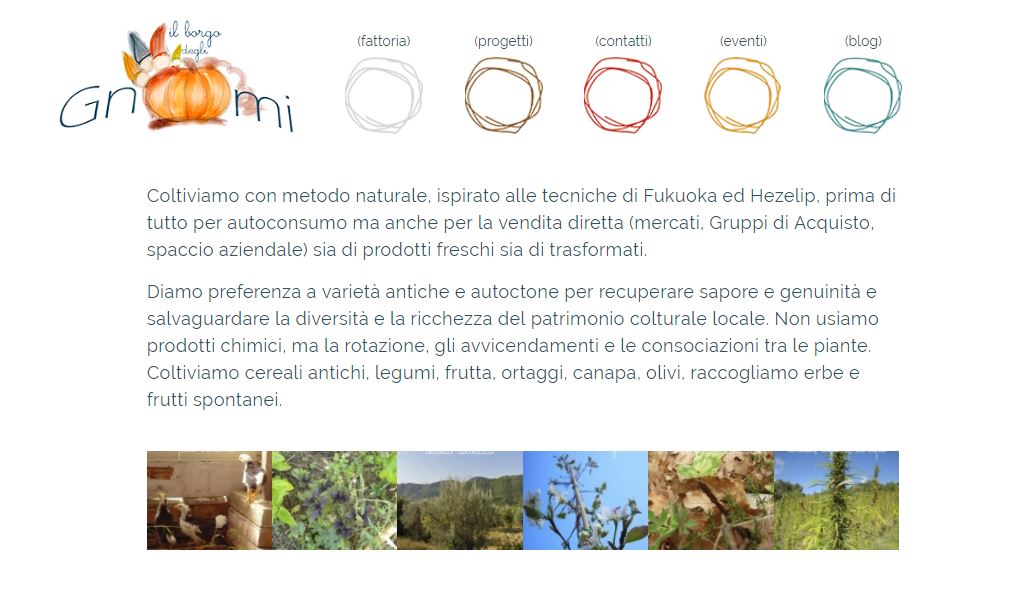 il-nuovo-raccolto-di-grano-antico-a-teramo-ora-in-vendita